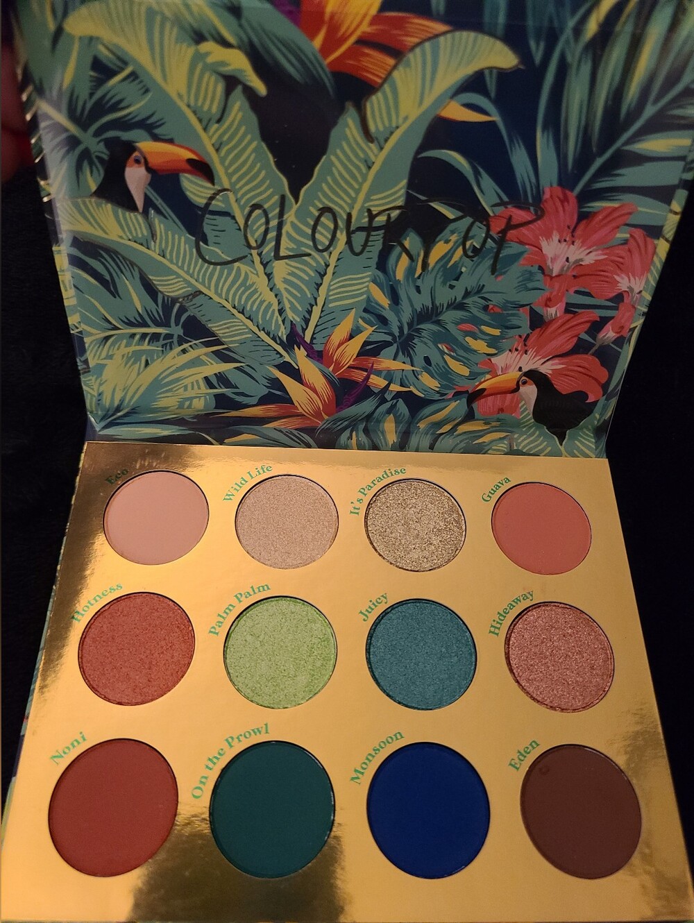 ColourPop LUSH Eyeshadow Palette